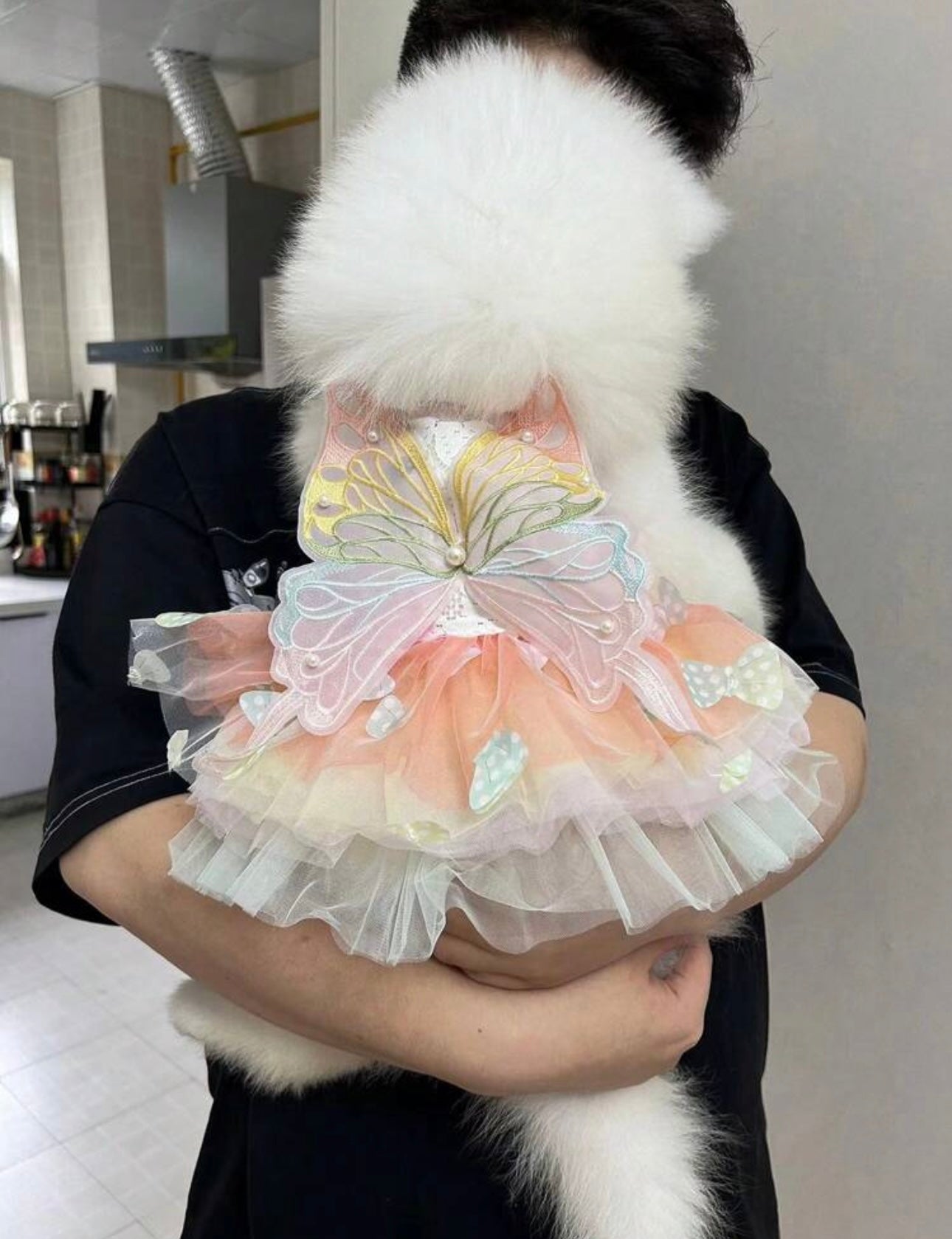 1 Cute Princess Butterfly Dog Dress In Breathable Mesh Fabric, Comfortable And Breathable, Suitable For Small To Medium Breeds