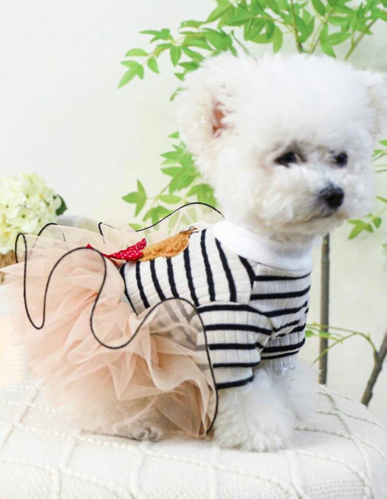1pc Pet Clothes For Small And Medium Sized Dogs And Cats, Cute Princess Dress, Bear Tulle Skirt