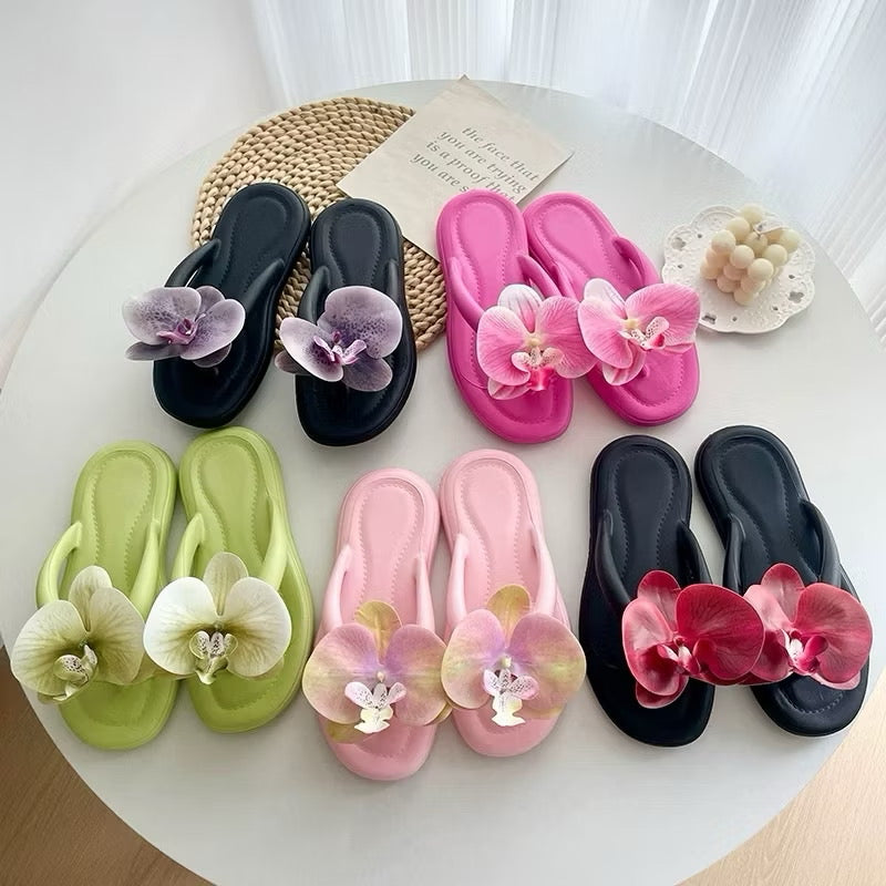 Lily footwear