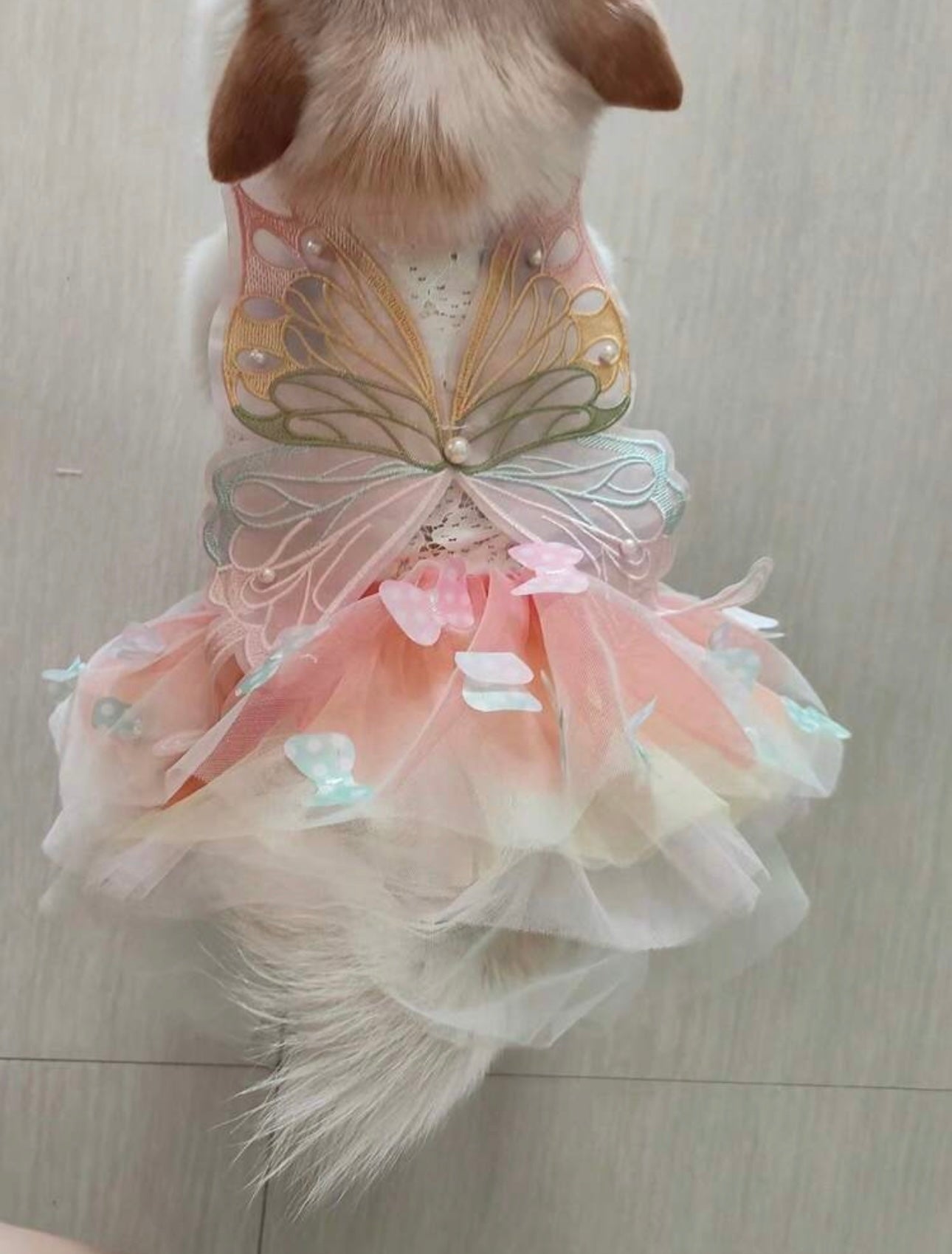 1 Cute Princess Butterfly Dog Dress In Breathable Mesh Fabric, Comfortable And Breathable, Suitable For Small To Medium Breeds