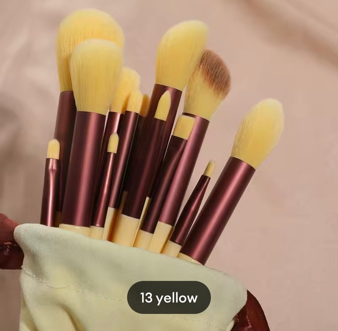 Brush set (13pc set with pouch)