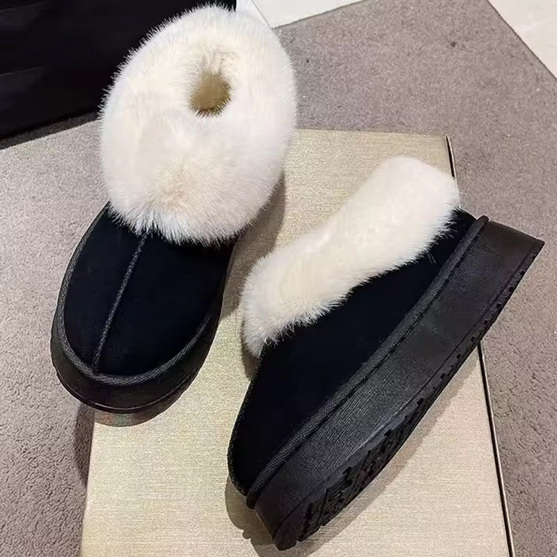Uggs
