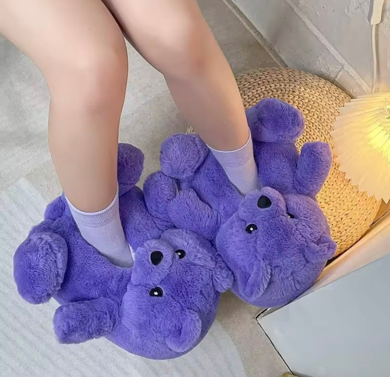 Teddy shoes