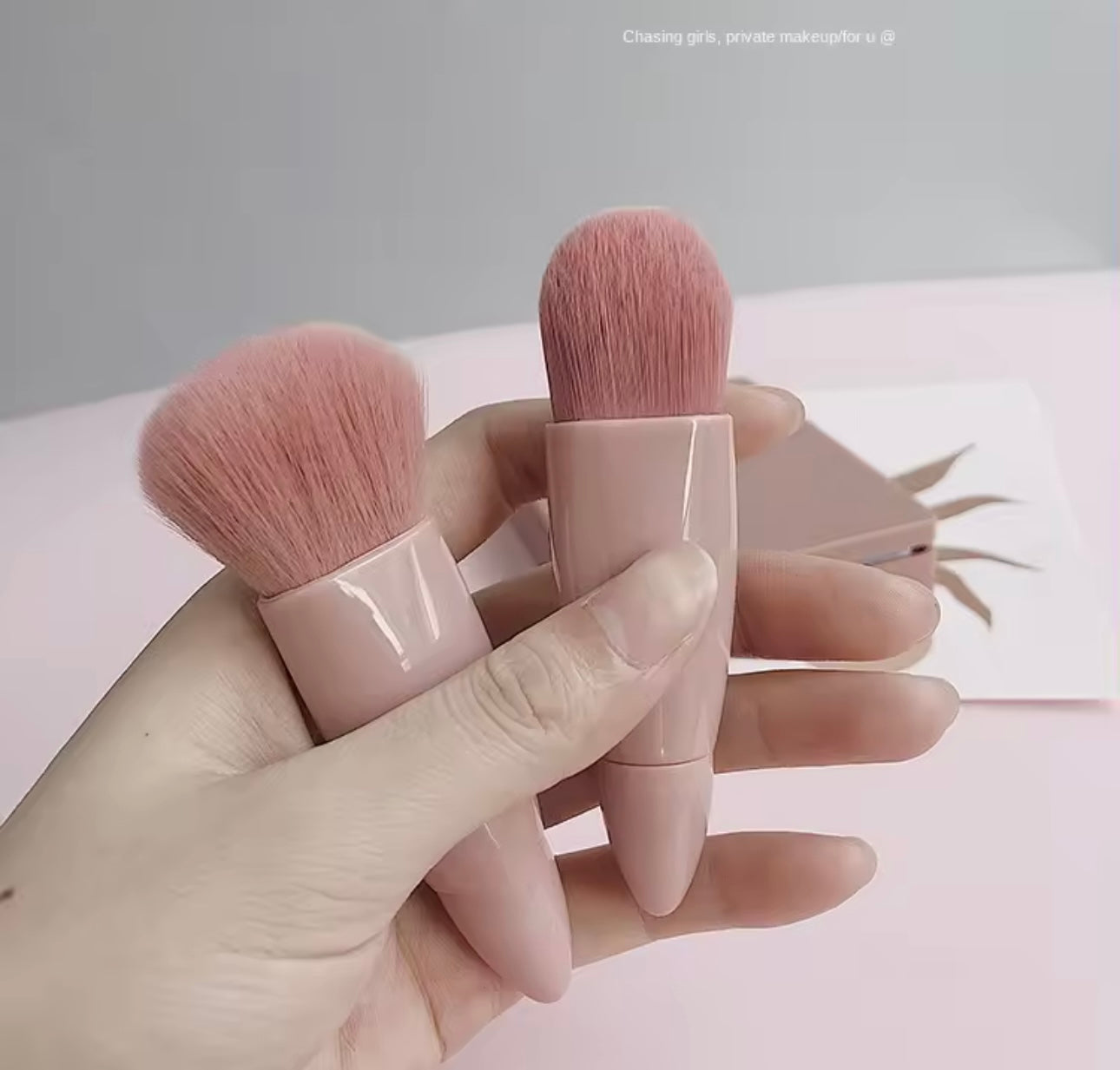 Mini Brush Compact Kit