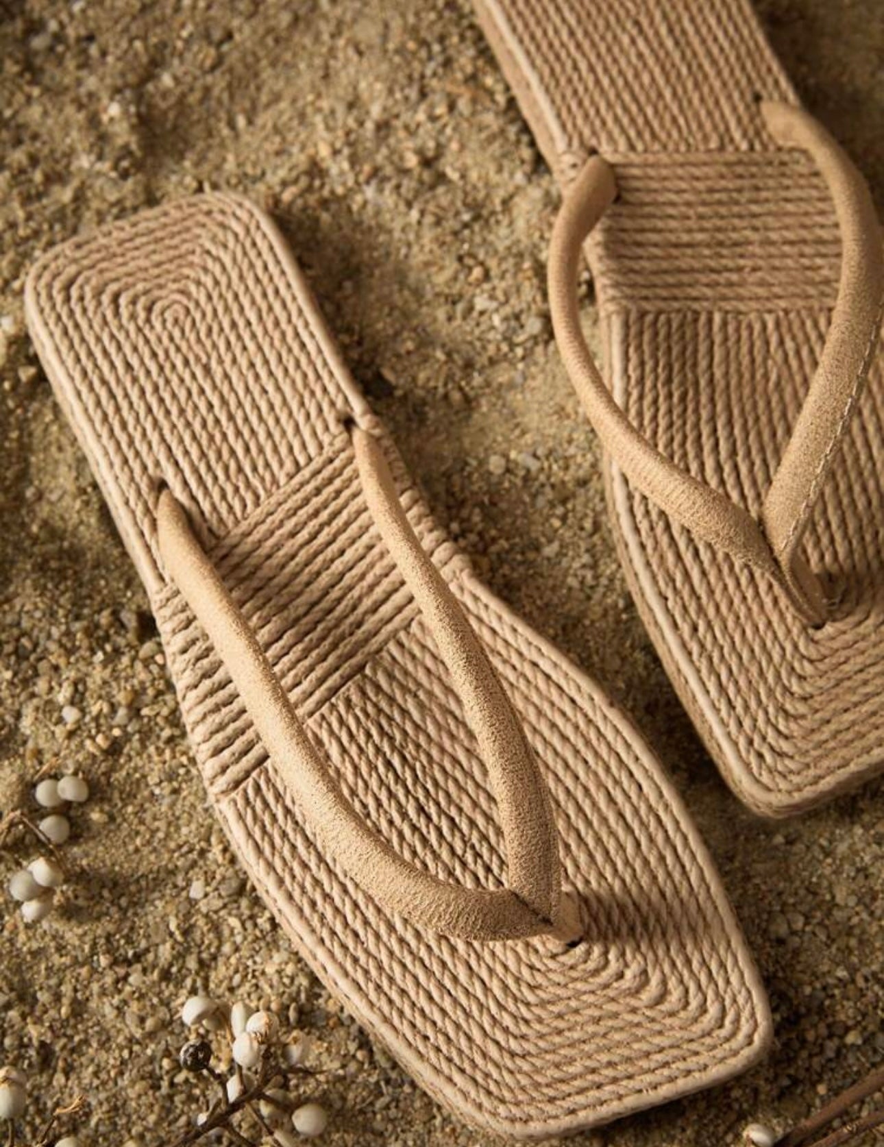 Tropical slippers