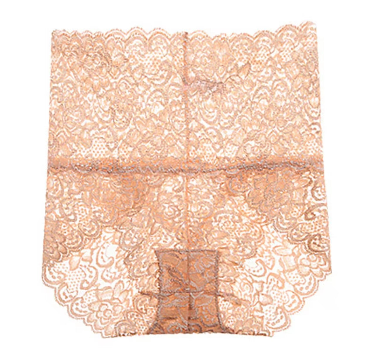 Net panty with broad waist line