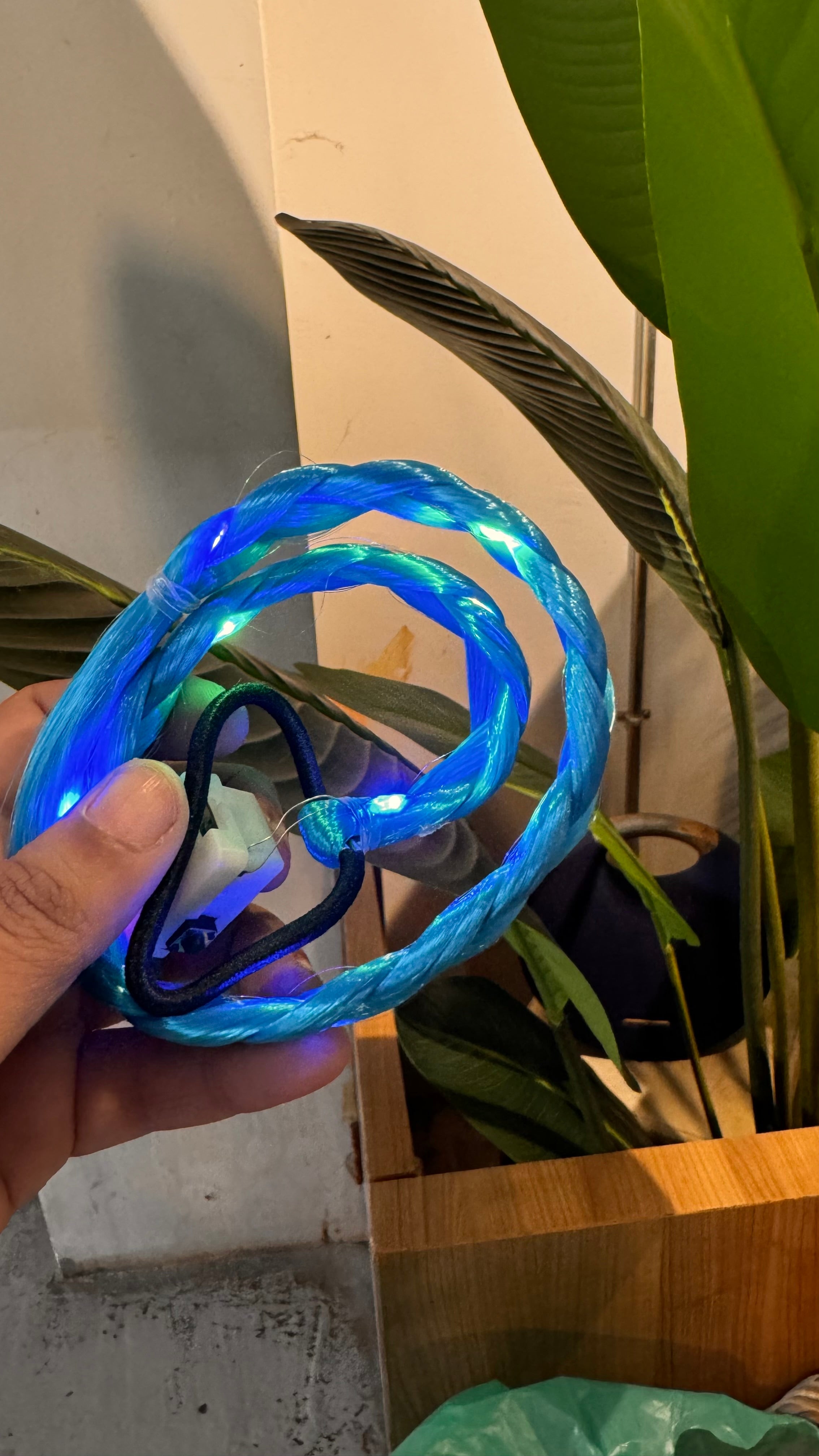 Led rubber band with ponny