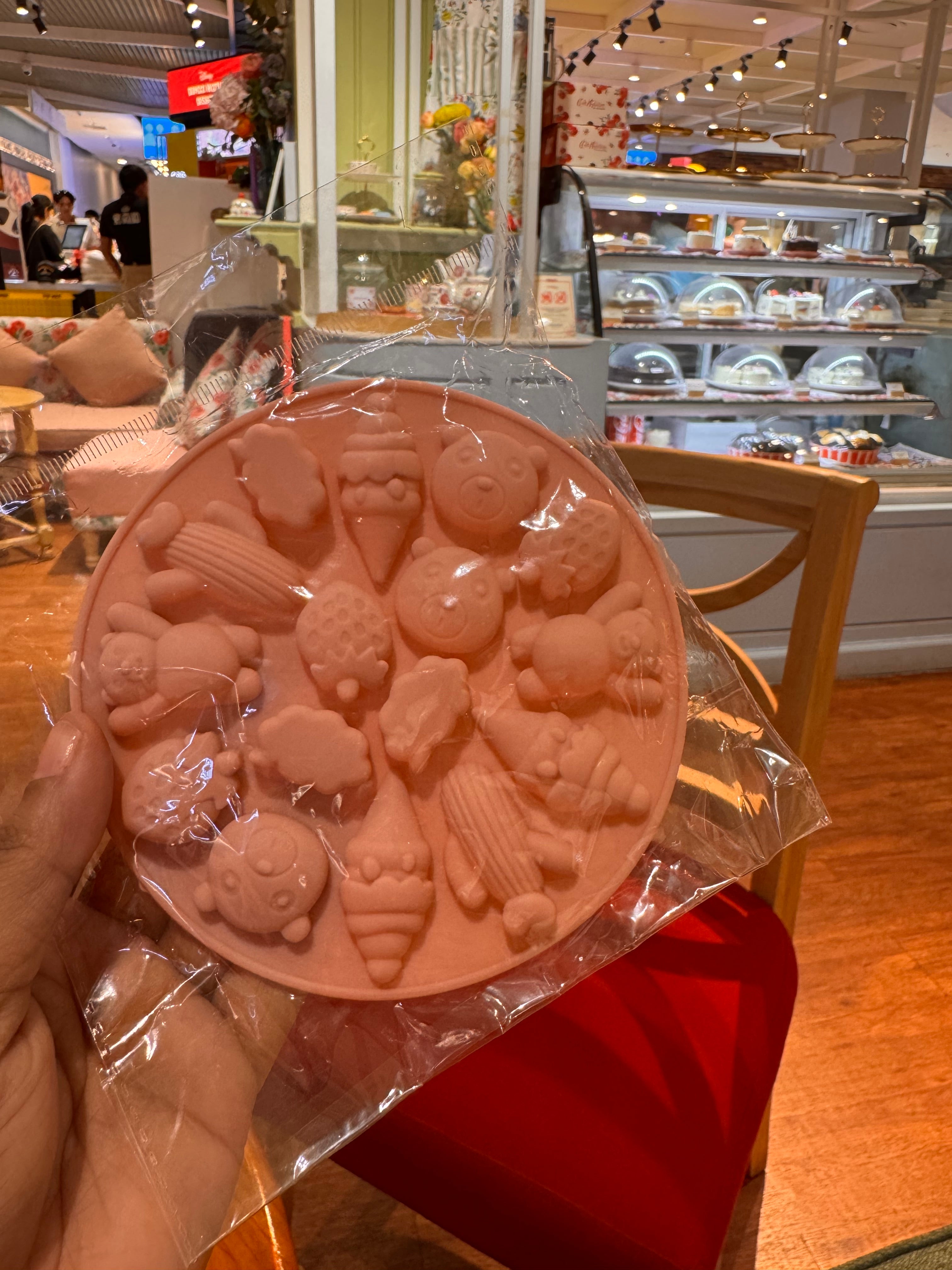 Silicon Mould